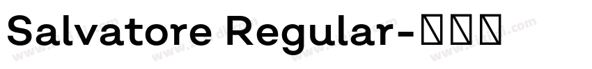Salvatore Regular字体转换 Salvatore Regular字体转换